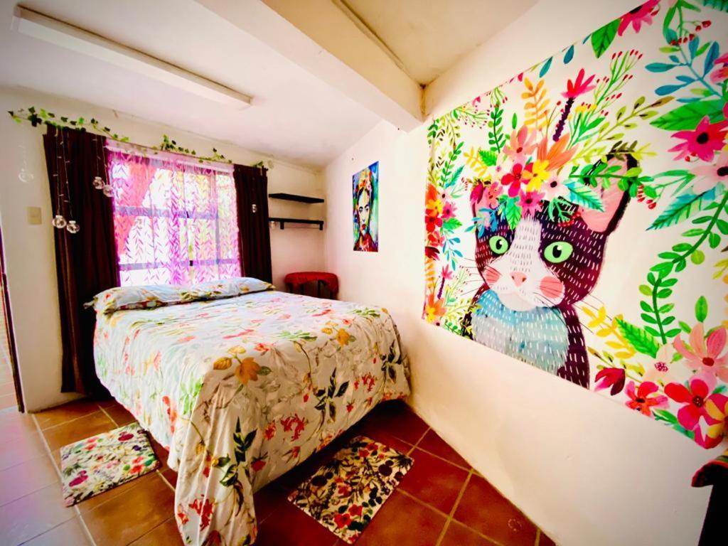 מלון גואנאחואטו Casa Mexicana מראה חיצוני תמונה